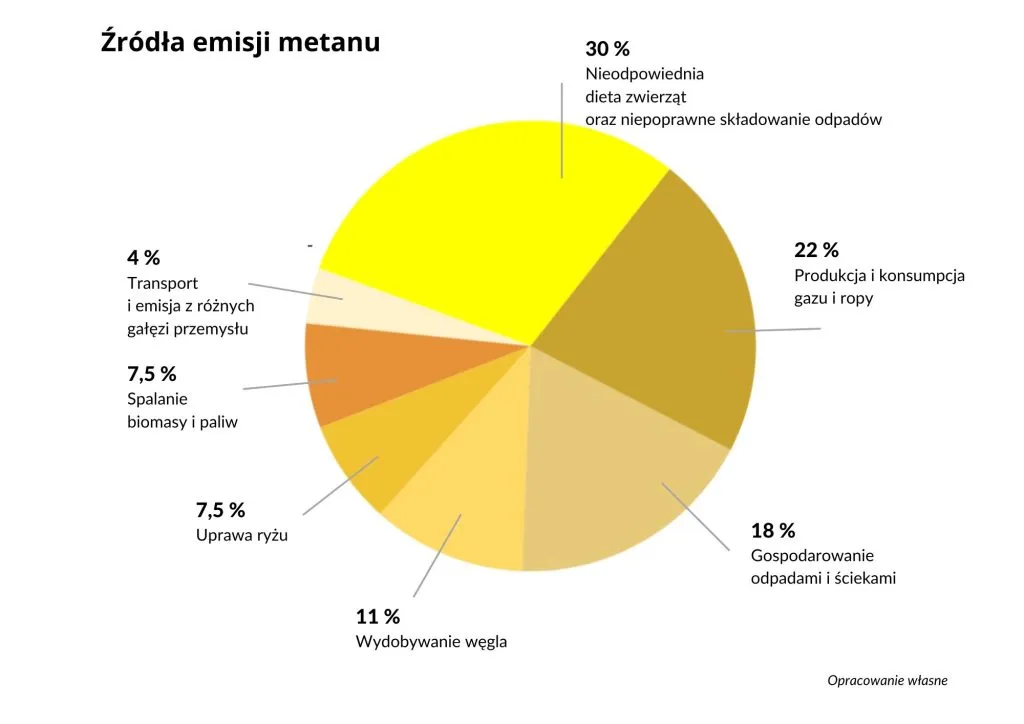źródła emisji metanu w Polsce infografika