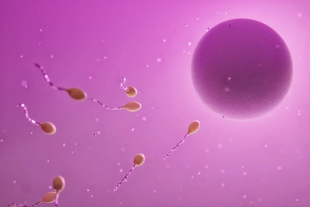 Zdjęcie Czy in vitro to grzech? Zaskakujące spojrzenie na naukę Kościoła