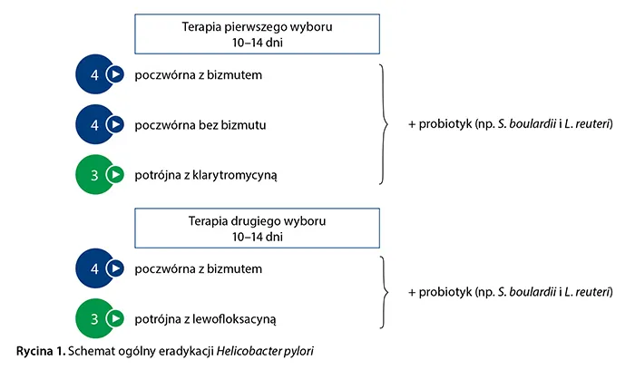 Zdjęcie Skuteczne leki na helicobacter pylori - uniknij powikłań zdrowotnych