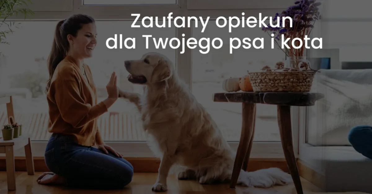 Zdjęcie Czy szczeniaka można zostawić samego w domu? Sprawdź, jak to zrobić bezpiecznie