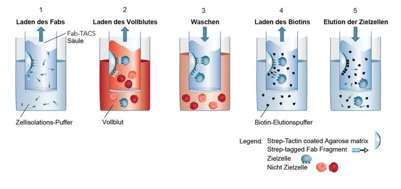 Zdjęcie In vitro Diagnostik: Bedeutung, Anwendungen und aktuelle Entwicklungen