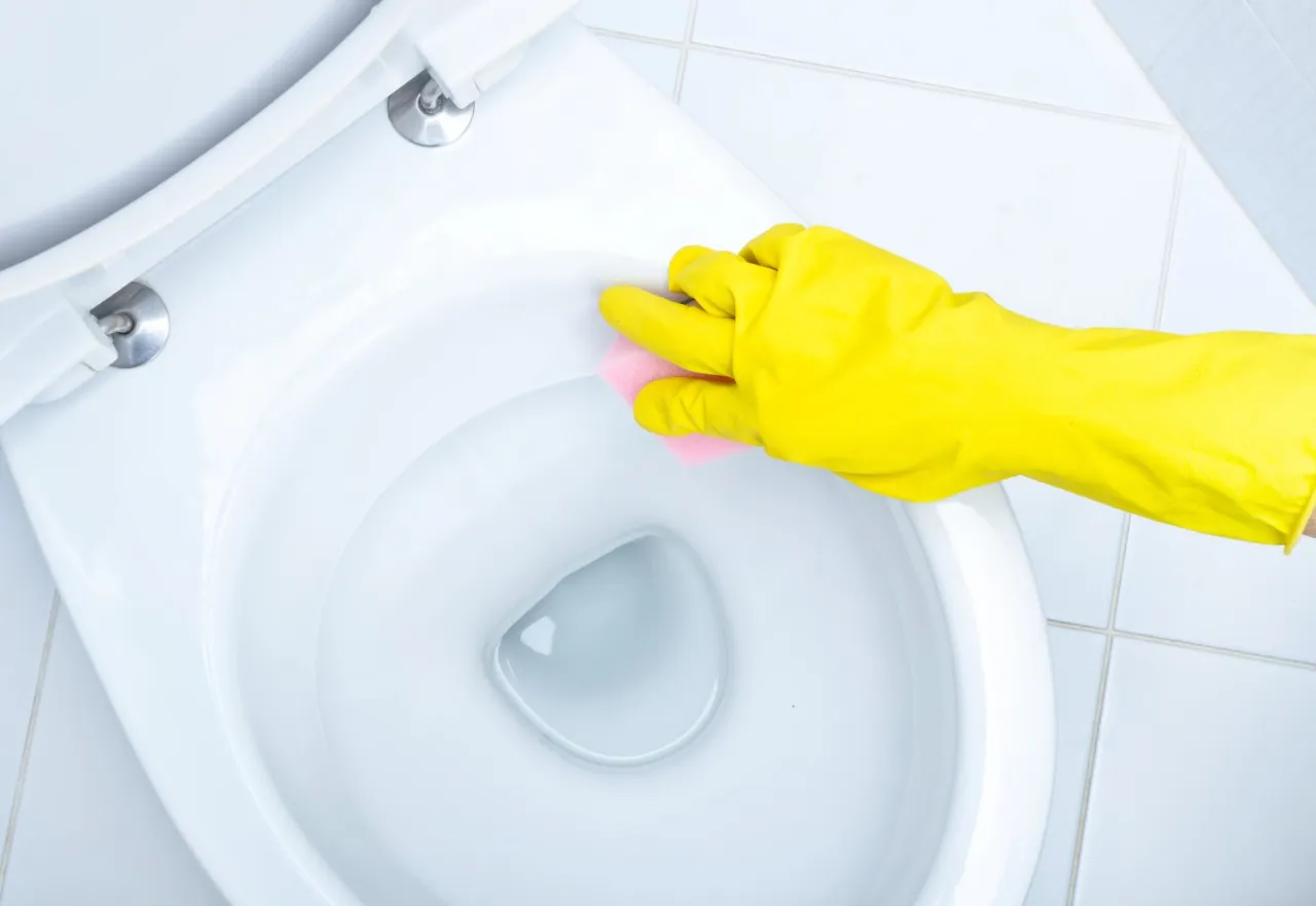 Zdjęcie Skuteczne sposoby na to, czym czyścić toaletę bez chemii