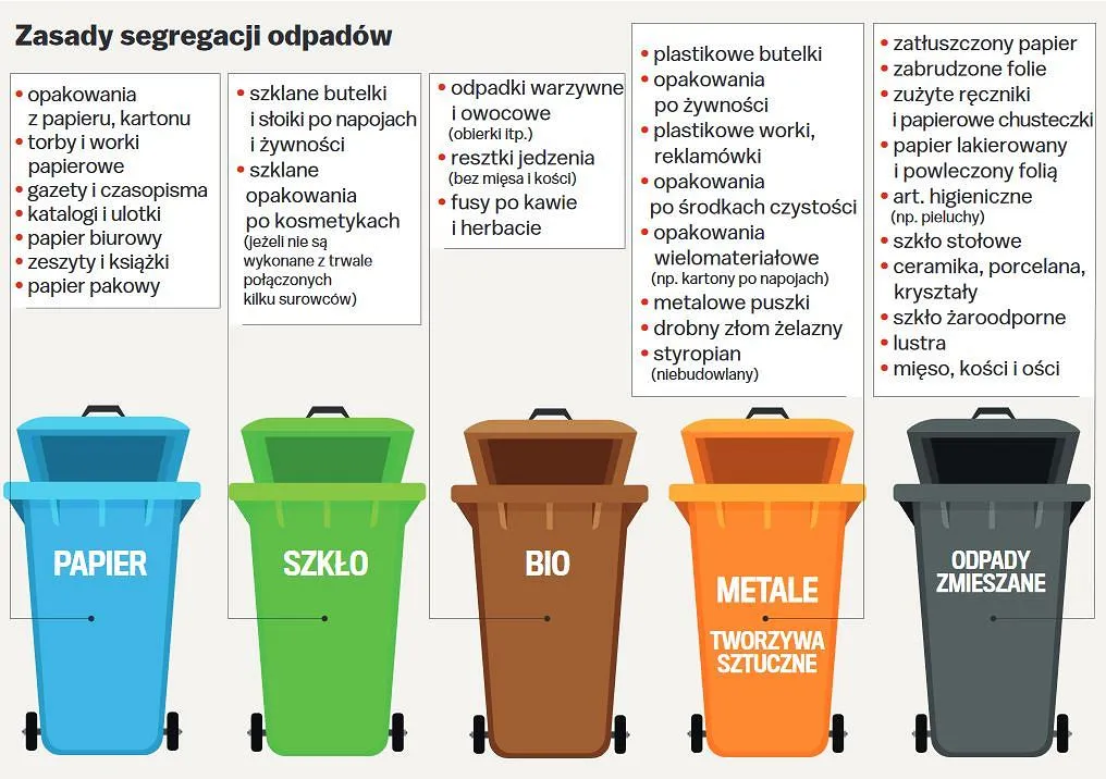 Zdjęcie Segregacja śmieci gdzie drewno - jak uniknąć kar za złe wyrzucanie