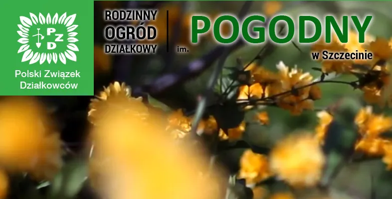 Zdjęcie Jak zrobić szlaban na działkę - proste kroki i cenne wskazówki