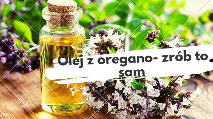 Zdjęcie Jak zrobić olej z oregano w prosty sposób i cieszyć się jego właściwościami