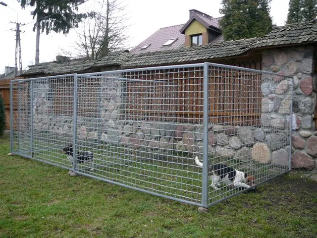 Zdjęcie Jak zrobić kojec dla psa z paneli ogrodzeniowych – bezpieczne rozwiązania dla Twojego pupila
