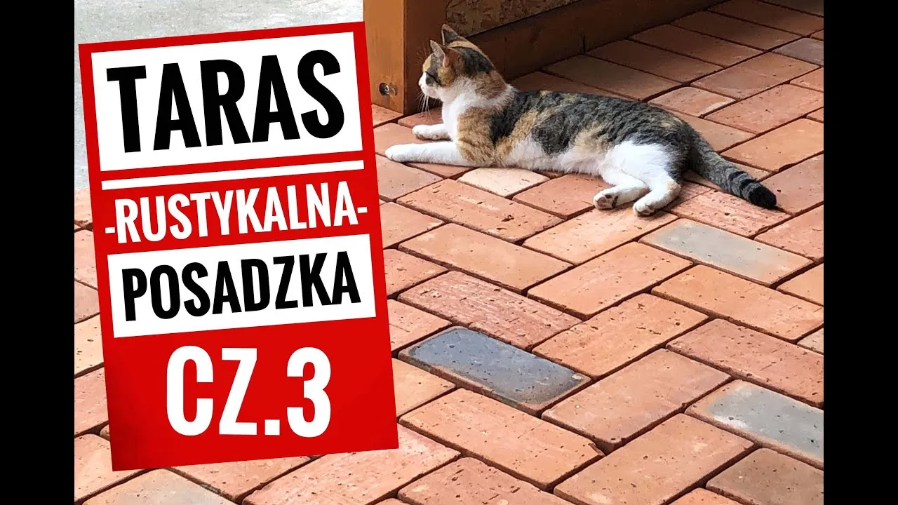 Zdjęcie Jak zrobić chodnik z czerwonej cegły - uniknij najczęstszych błędów