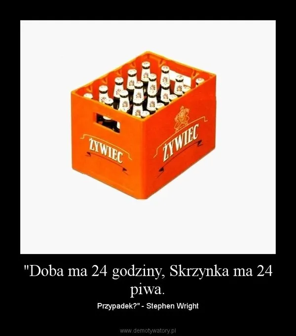 Zdjęcie Ile piwa w skrzynce? Zaskakujące fakty o pojemności transportowej