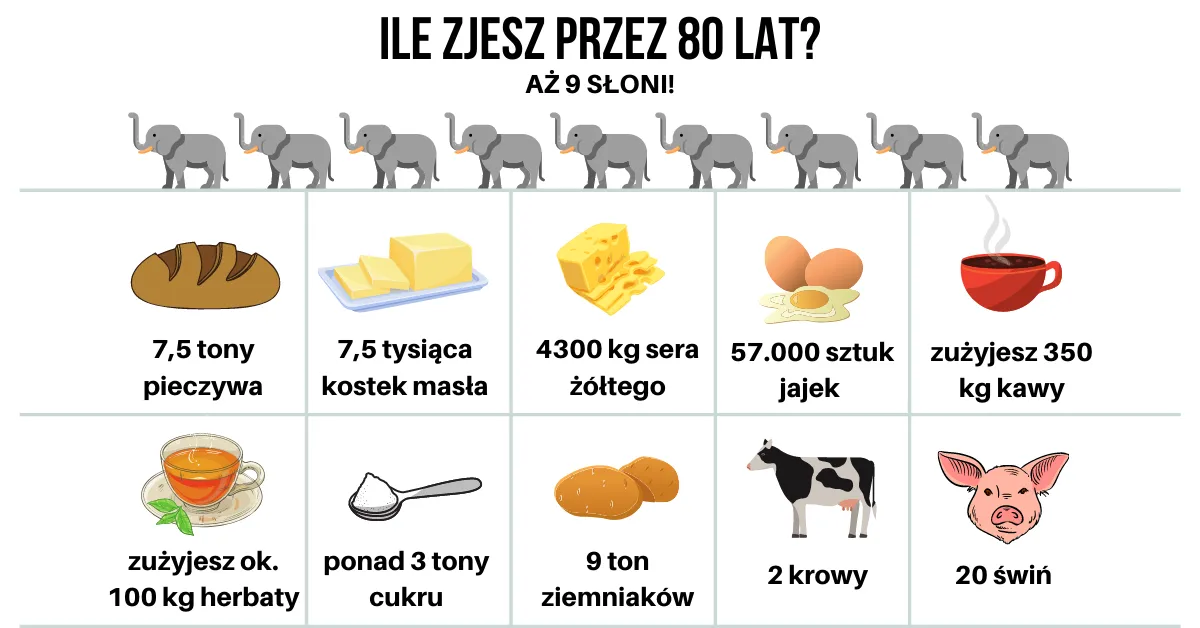 Zdjęcie Ile kalorii potrzebuje człowiek: kompletny kalkulator i wskazówki eksperta