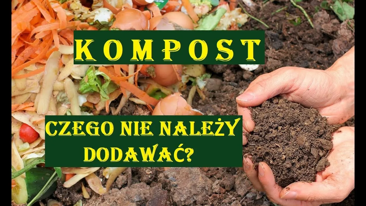 Zdjęcie Czego nie dawać na kompost? Kluczowe błędy, które mogą zaszkodzić.