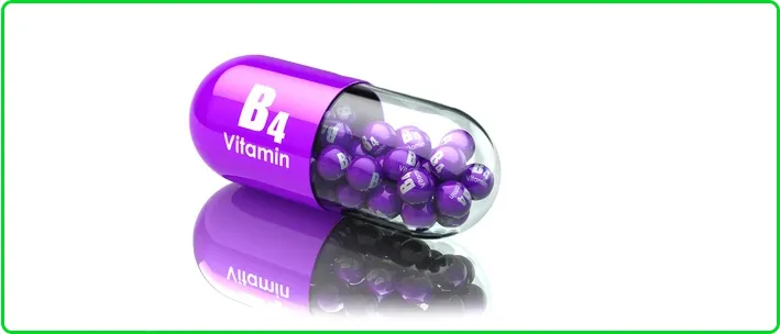 Zdjęcie Vitamin B4: Wichtige Informationen über Mangel, Vorteile und Quellen