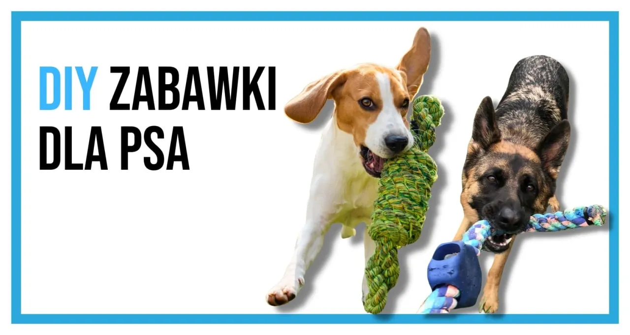 Zdjęcie Prosty sposób na bezpieczną zabawkę dla psa ze sznurka – zrób to sam!