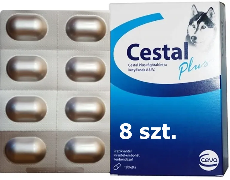 Zdjęcie Jak działa tabletka na odrobaczanie i co powinieneś wiedzieć o jej działaniu