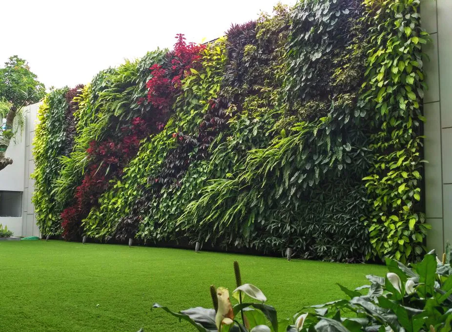 Zdjęcie Jak zasłonić ścianę sąsiada? Skuteczne metody na prywatność w ogrodzie