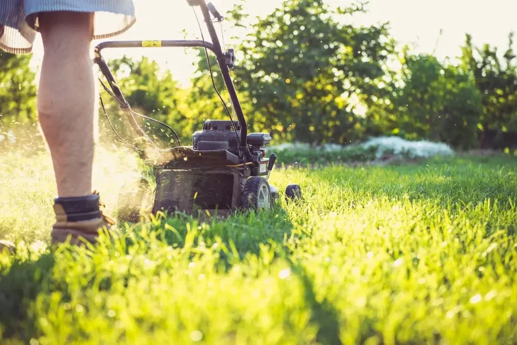 Zdjęcie Jak wyregulować napęd w kosiarce spalinowej i uniknąć problemów
