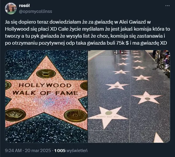 Zdjęcie Ile jest gwiazd w alei Hollywood? Zaskakujące fakty i historia