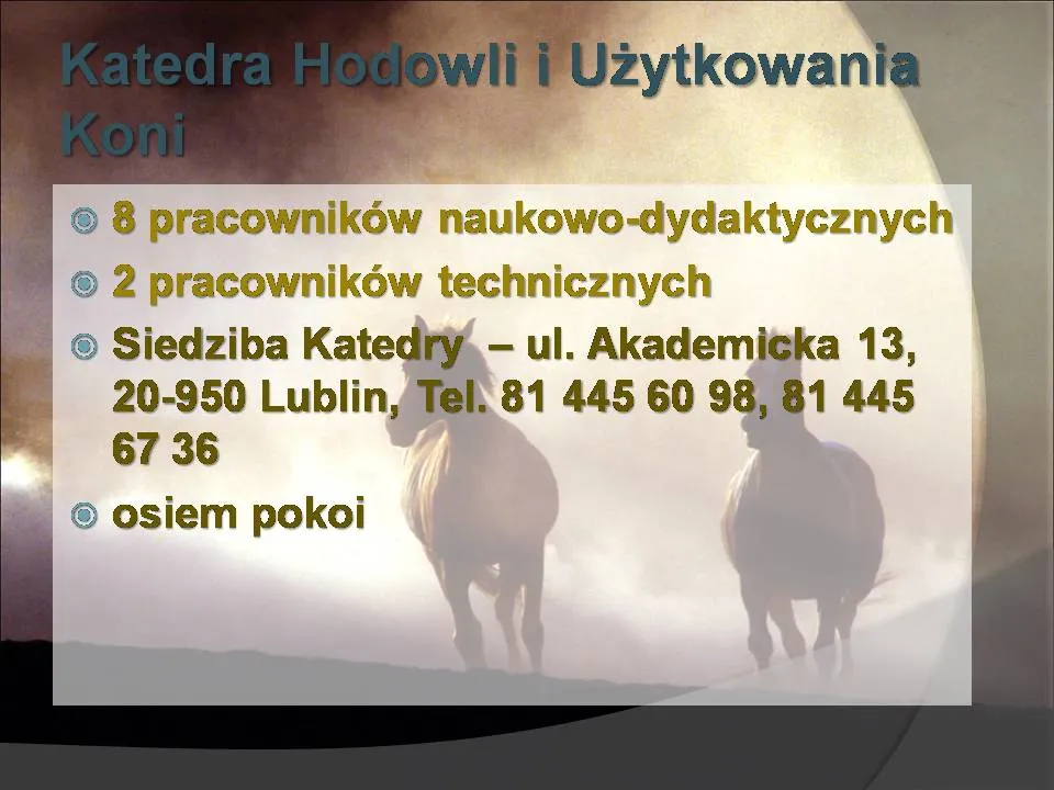 Zdjęcie Katedra hodowli koni i jeździectwa Olsztyn - poznaj ofertę i możliwości