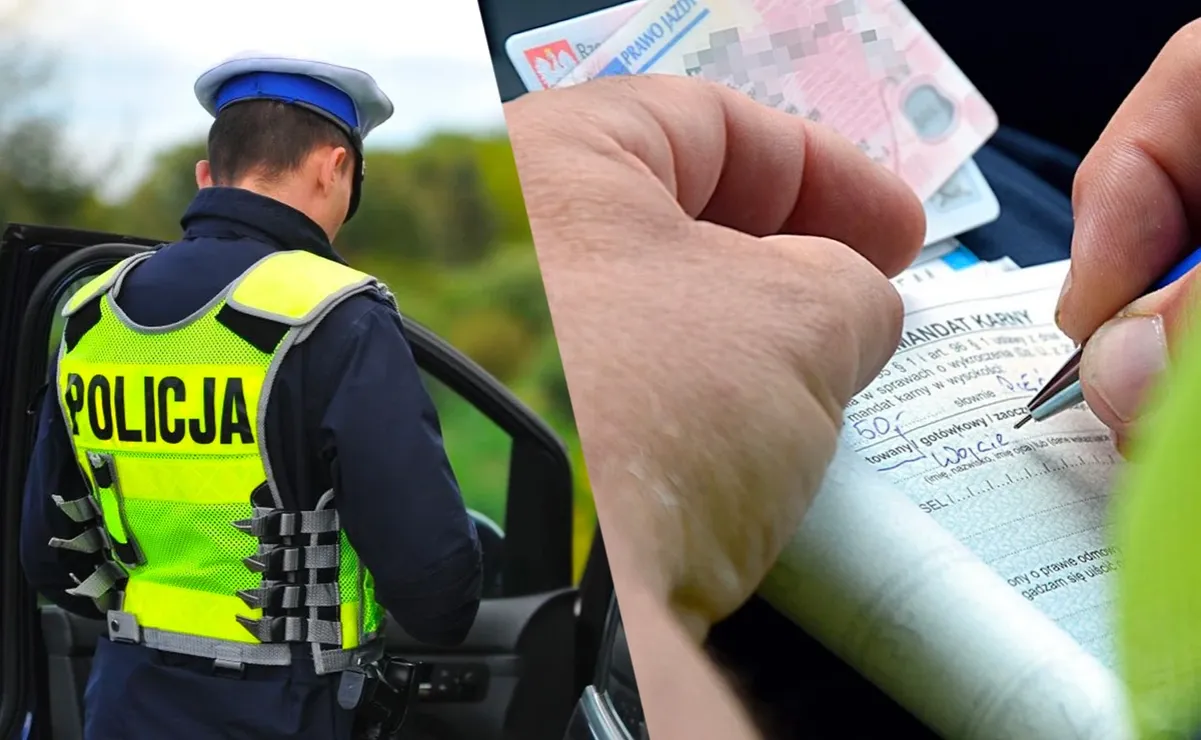 Zdjęcie Ile punktów za pasy bezpieczeństwa? Sprawdź, co grozi kierowcom