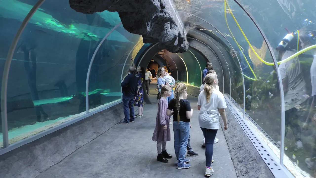 Orientarium ZOO Ł&oacute;dź podwodny tunel
