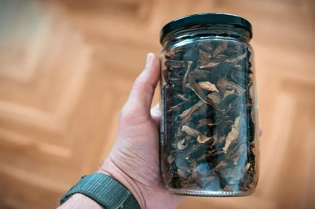 suszone grzyby w słoiku