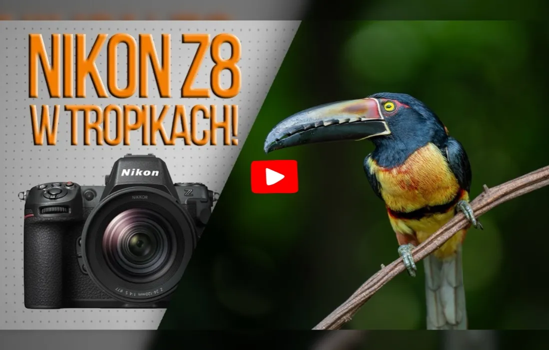 Nowoczesny aparat bezlusterkowy do fotografii przyrody