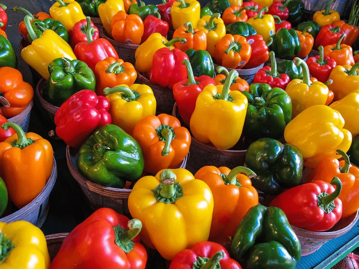 r&oacute;żne kolory papryki na desce