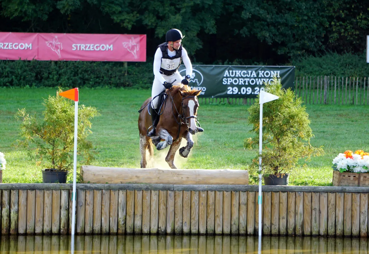 dyscypliny jeździeckie ujeżdżenie skoki WKKW