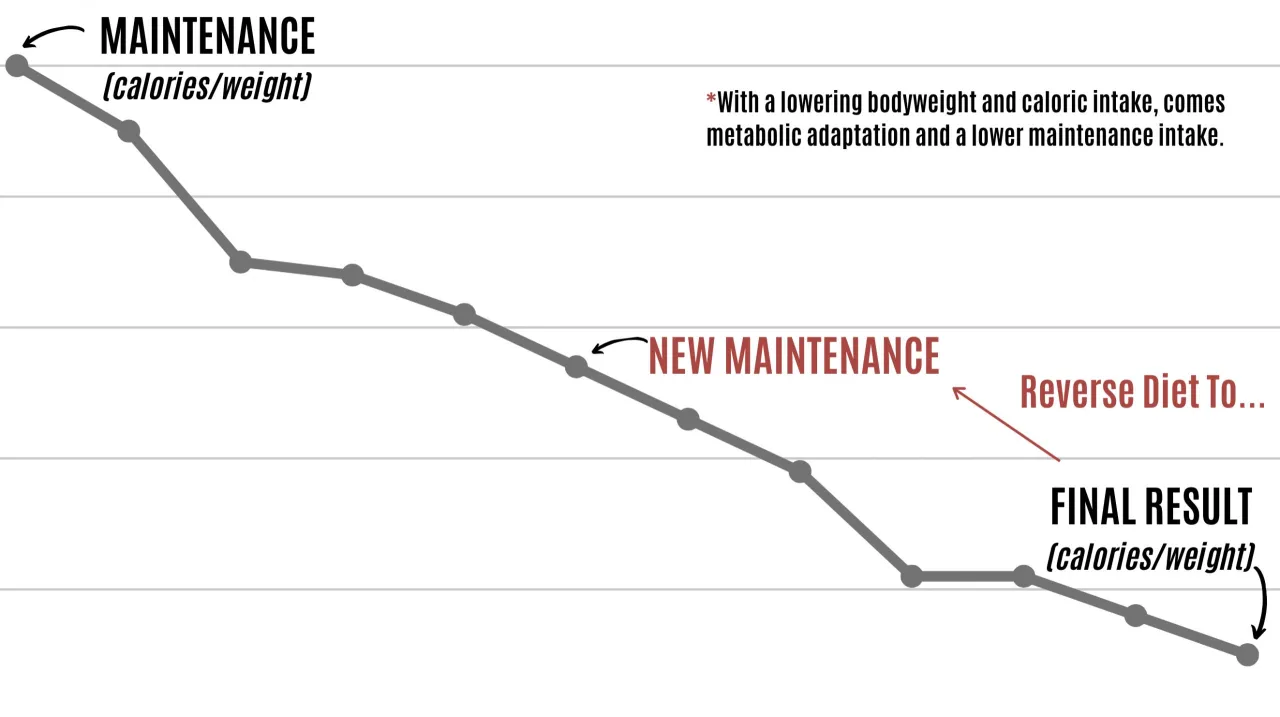 Reverse dieting process chart