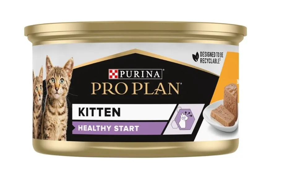 karma mokra starter dla kociąt