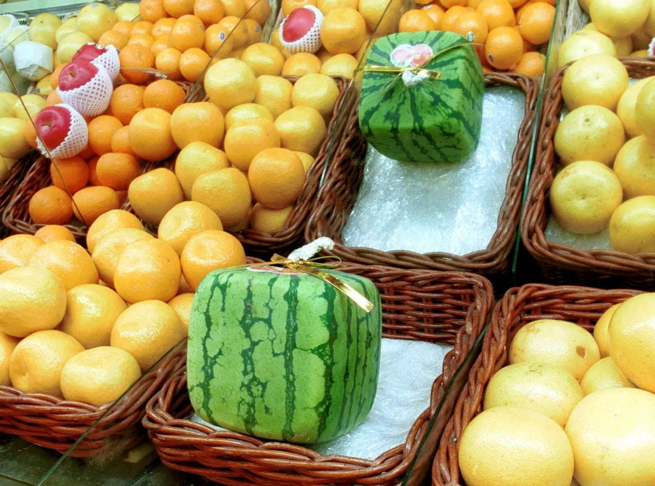 kwadratowe arbuzy Japonia