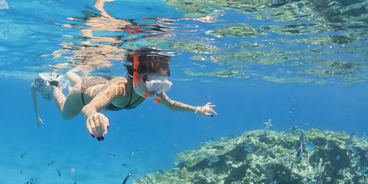 rafa koralowa makadi bay snorkeling