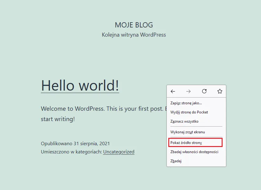 kod źródłowy strony wordpress themes