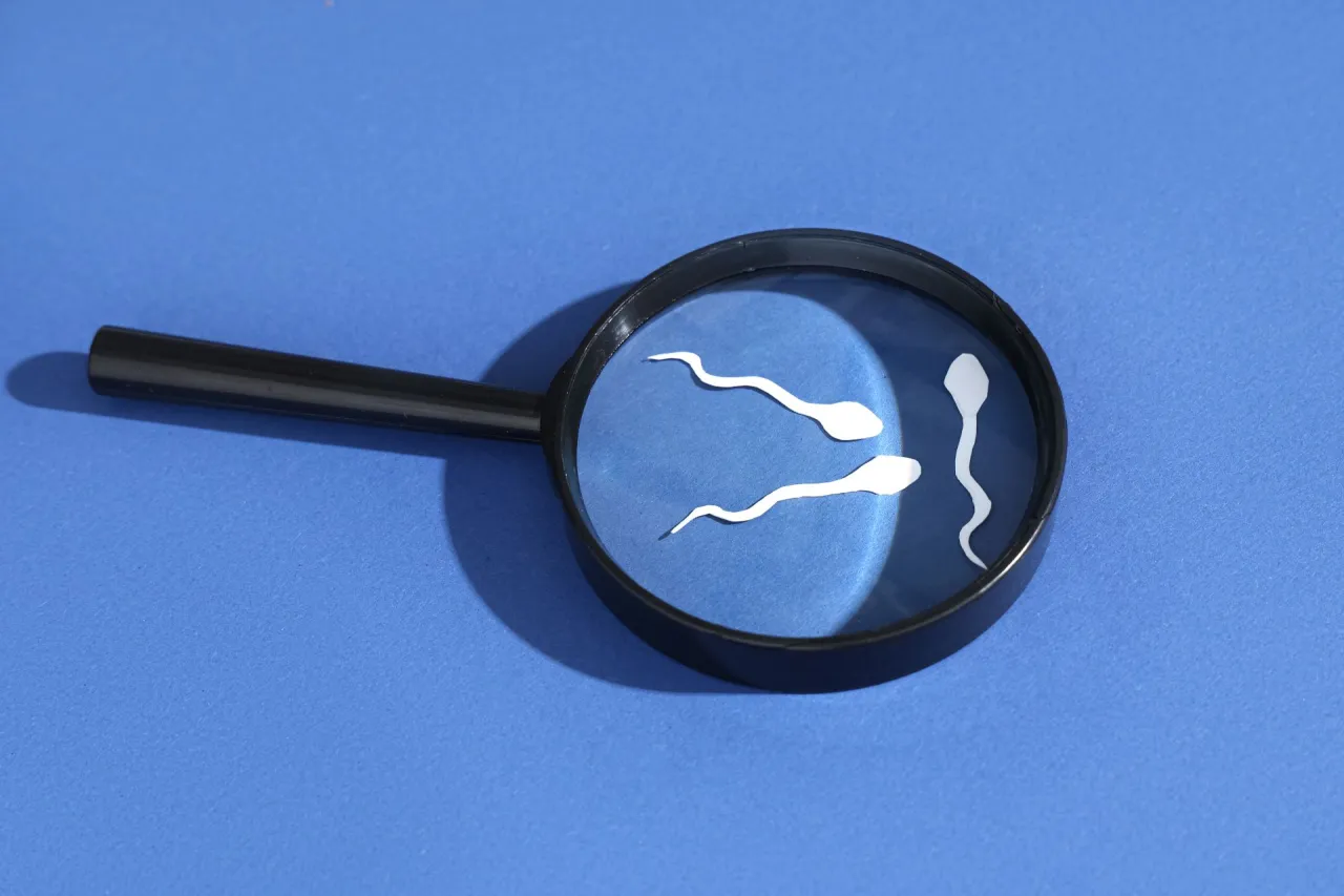 Checklista przygotowania do seminogramu