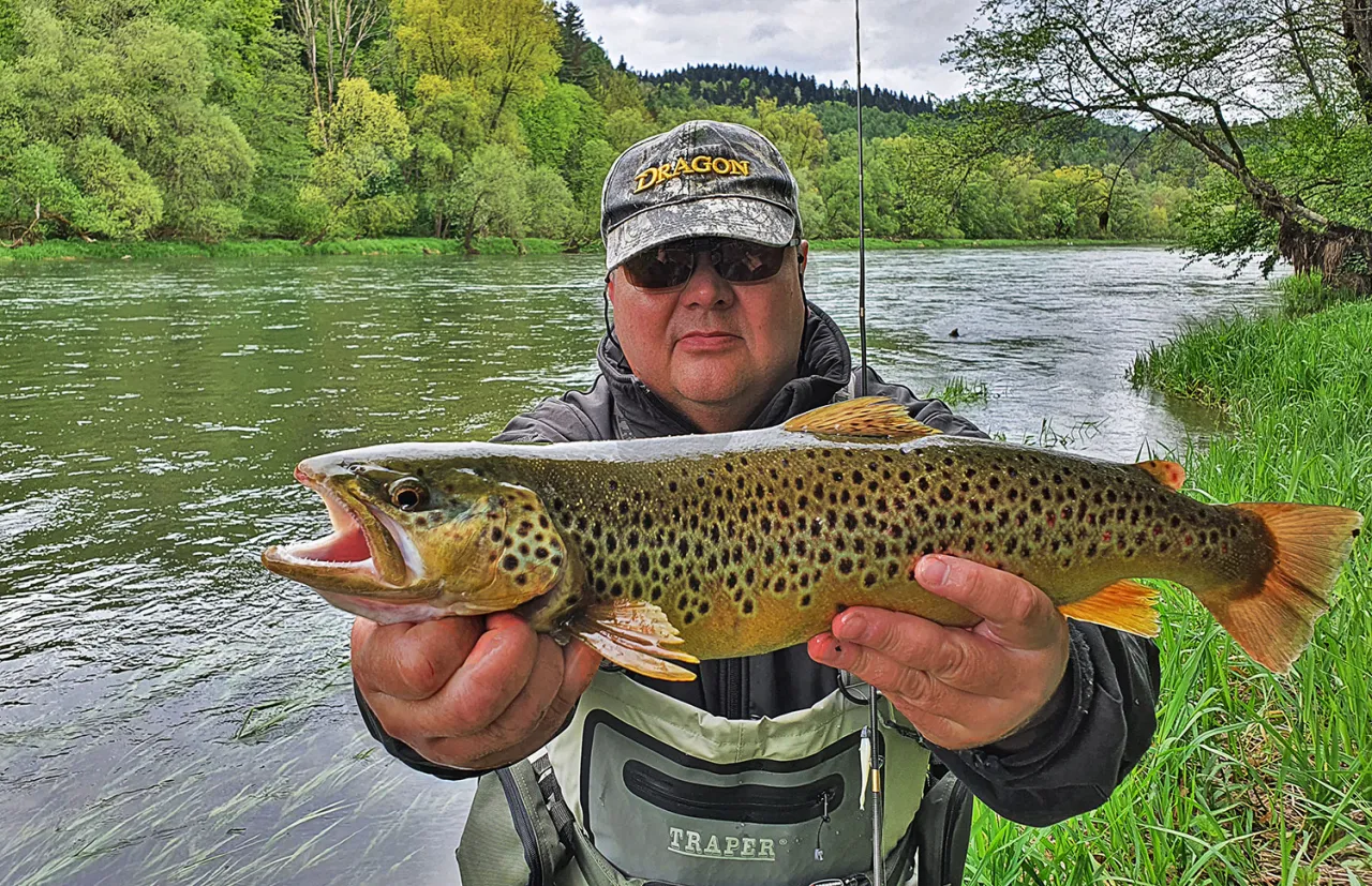 Wędkarz z dumą prezentuje pstrąga złowionego na rzece. Idealna wędka na pstrąga to klucz do takiego sukcesu.