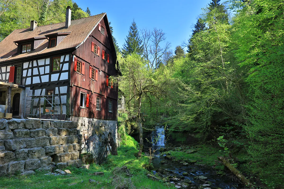 Wandern Schwäbischer Wald Natur