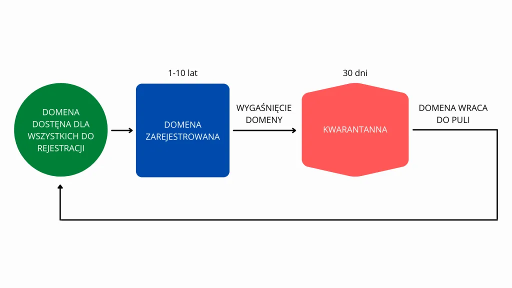 proces rejestracji domeny
