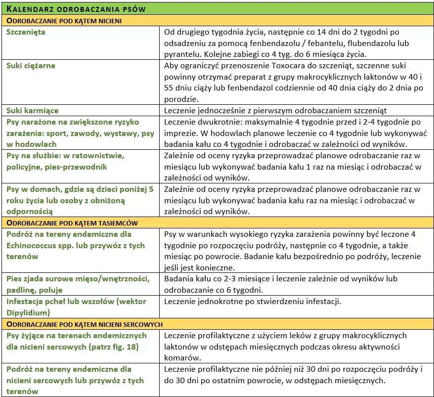 kalendarz odrobaczania szczeniaka infografika
