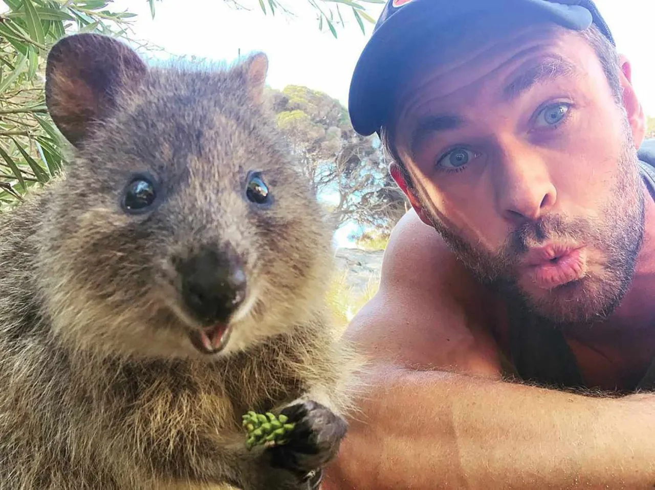 Quokka Selfie Rottnest Island Australien