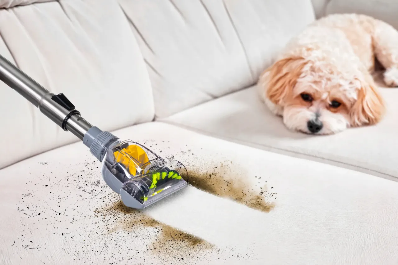 Jak działa odkurzacz cyklonowy schemat