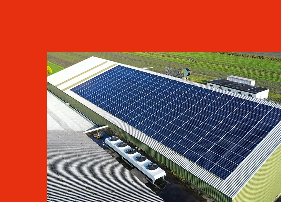 Fotowoltaika dla firm i rolników, panele słoneczne na dachu magazynu