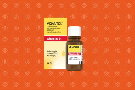 przykładowa ulotka leku Vigantol