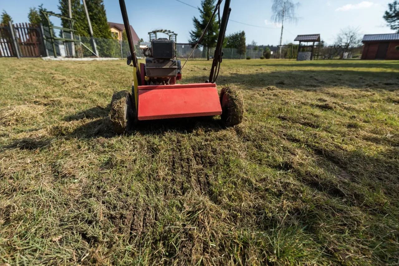 Wertykulator spulchnia ziemię, przygotowując trawnik do wiosennych prac. Kiedy wertykulować trawnik? Najlepiej wiosną, gdy trawa zaczyna rosnąć.