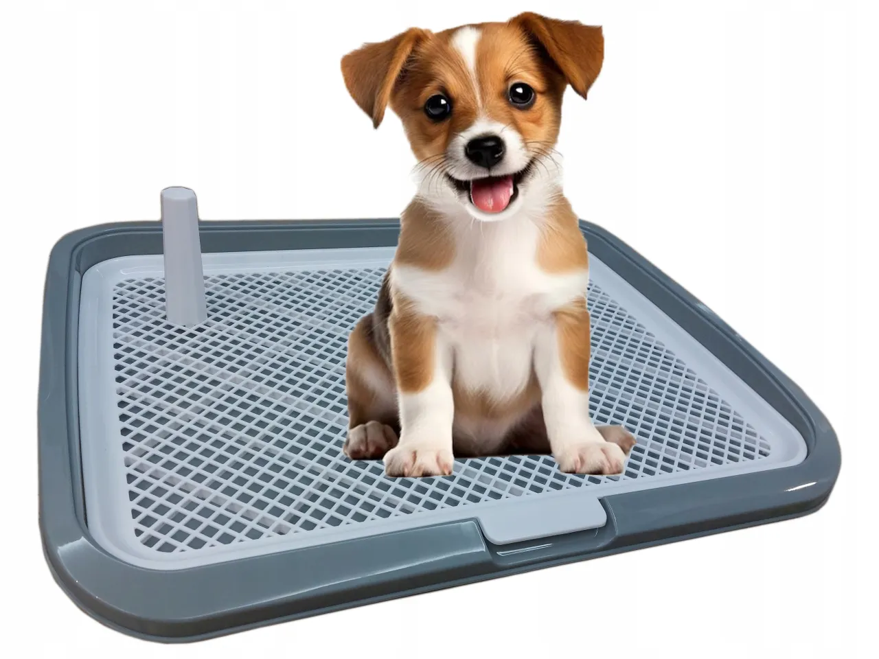 akcesoria dla szczeniaka do nauki czystości