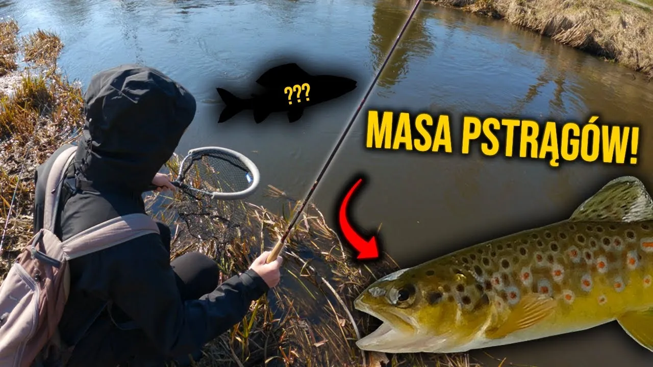 Wędkarstwo pstrągowe na małej g&oacute;rskiej rzece i szerokiej nizinnej rzece