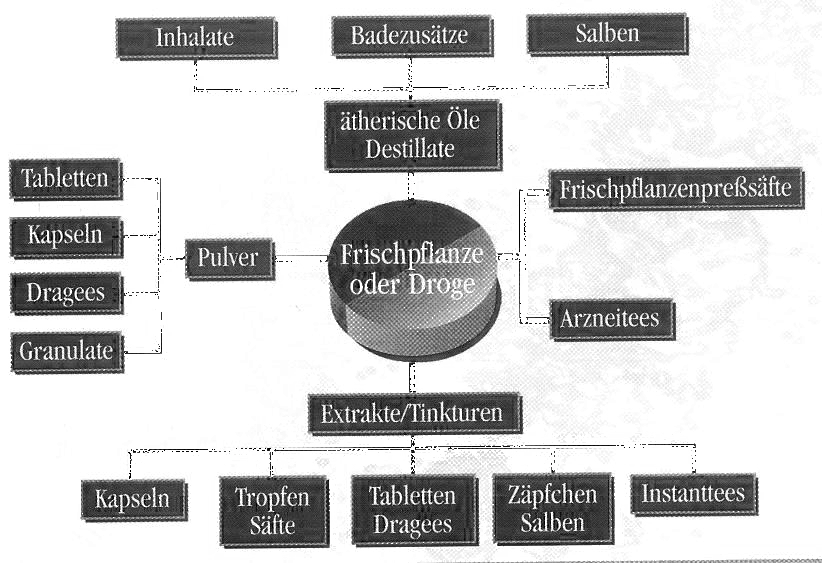 Pflanzliche Arzneimittel Nahrungserg&auml;nzungsmittel Unterschied