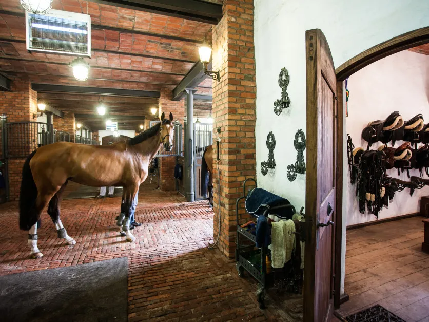 rodzaje stadnin koni w Polsce, infrastruktura stadniny