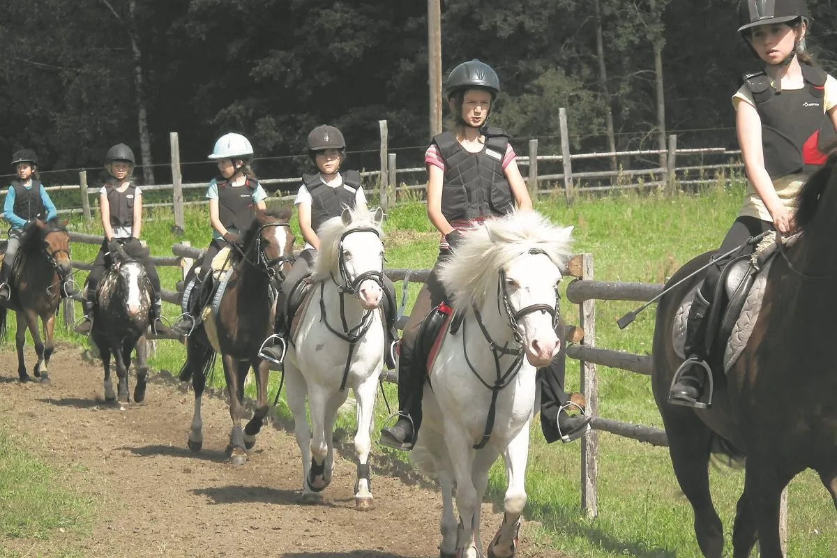 Mapa stadnin koni w okolicach Warszawy