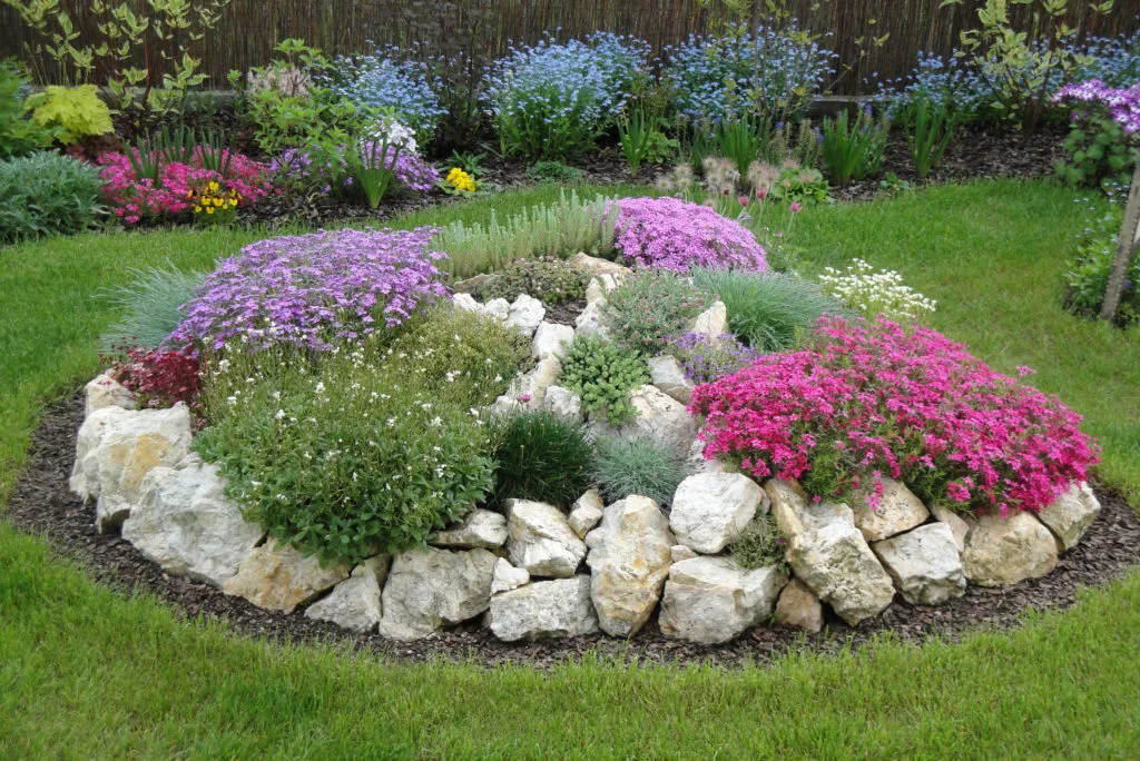 Krąg betonowy obsadzony roślinami, skalniak na kręgu