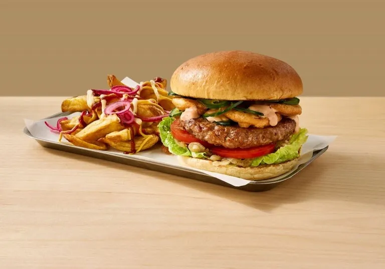 burger z frytkami r&oacute;żne rodzaje