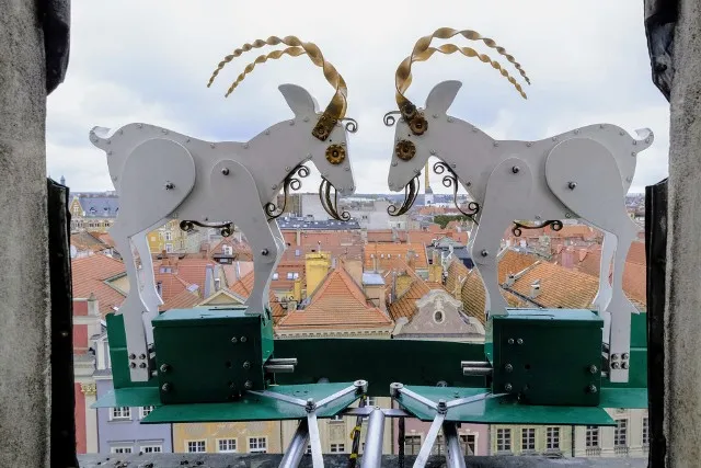 Pamiątki z poznańskimi koziołkami